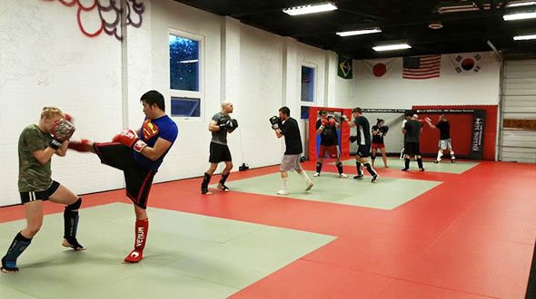 Light MMA Sparring